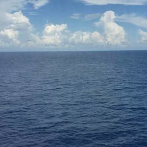 Meet your Posher, Tonya